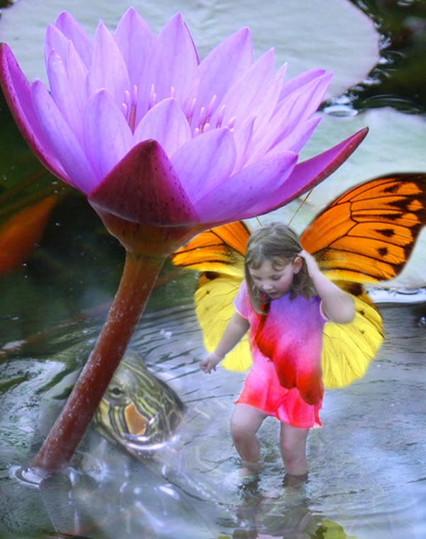 Creation of Fairy in the Lotus Pond: Step 3