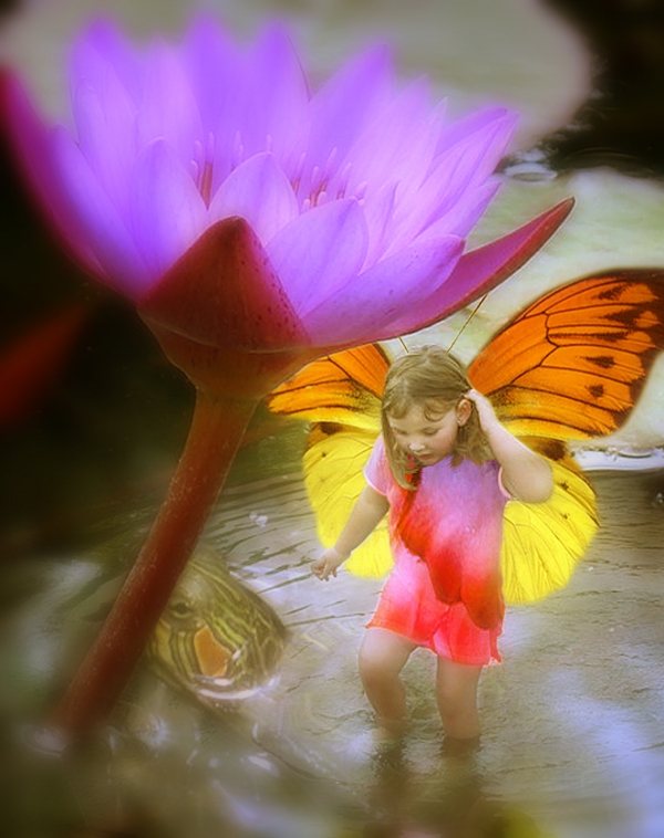 Creation of Fairy in the Lotus Pond: Step 4