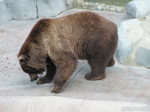 Creation of Bear Bed: Step 2