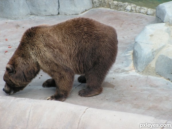 Creation of Bear Bed: Step 3