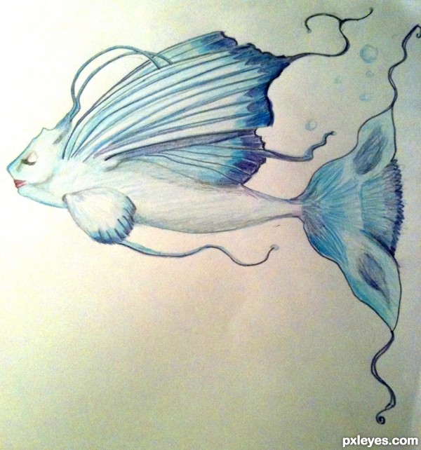 Creation of Butterfly Fish: Step 2