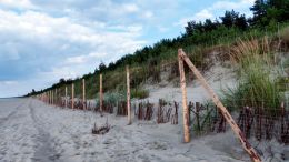 Protecting the dunes