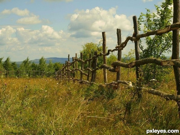 Farm fence