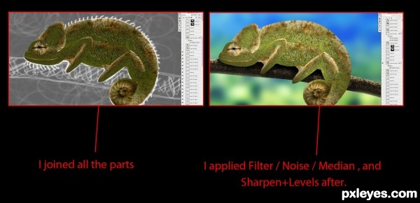 Creation of Chameleon: Step 5