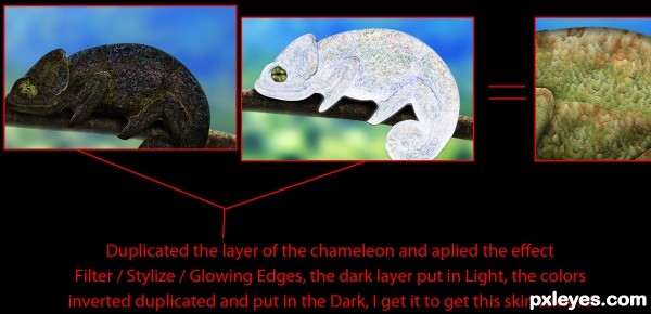 Creation of Chameleon: Step 7