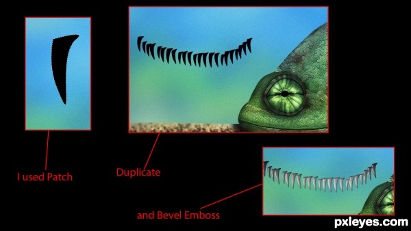 Creation of Chameleon: Step 9