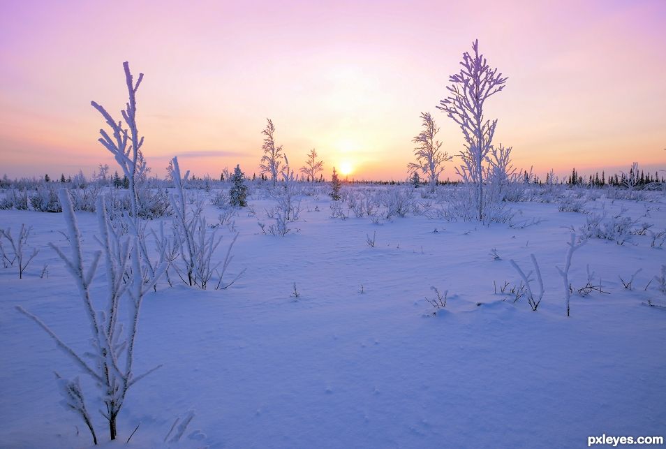 Sunset in the snowfield 