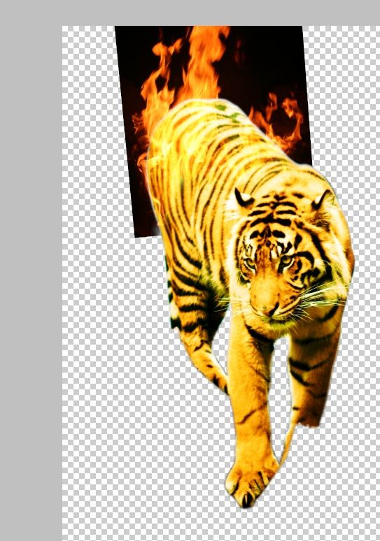 Creation of Flaming Tiger: Step 2