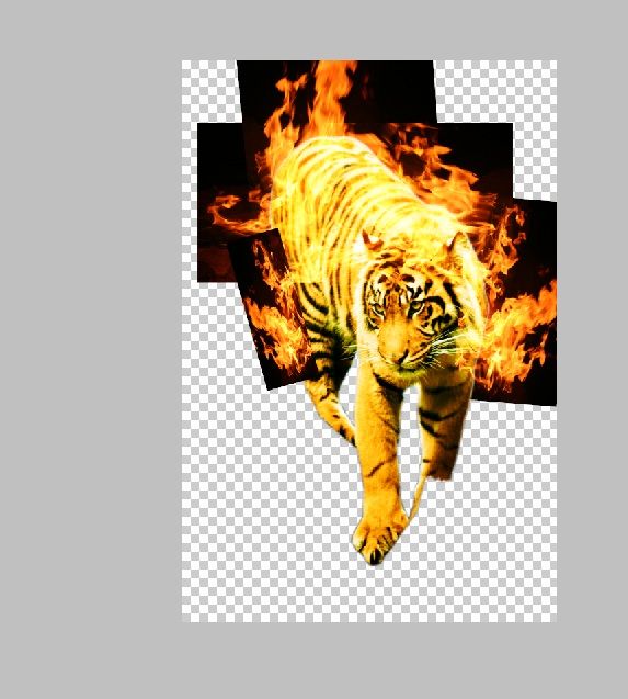 Creation of Flaming Tiger: Step 3