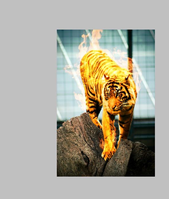 Creation of Flaming Tiger: Step 4