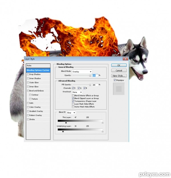 Creation of Flaming Husky: Step 1