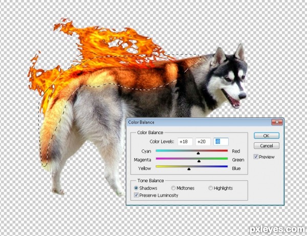 Creation of Flaming Husky: Step 2