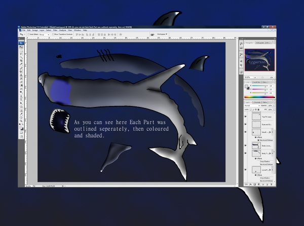 Creation of Shark: Step 3