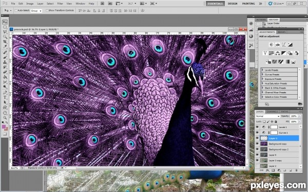 Creation of purple peacock: Step 5