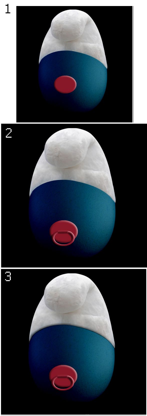 Creation of Eggs, eggs, eggs and more eggs: Step 9