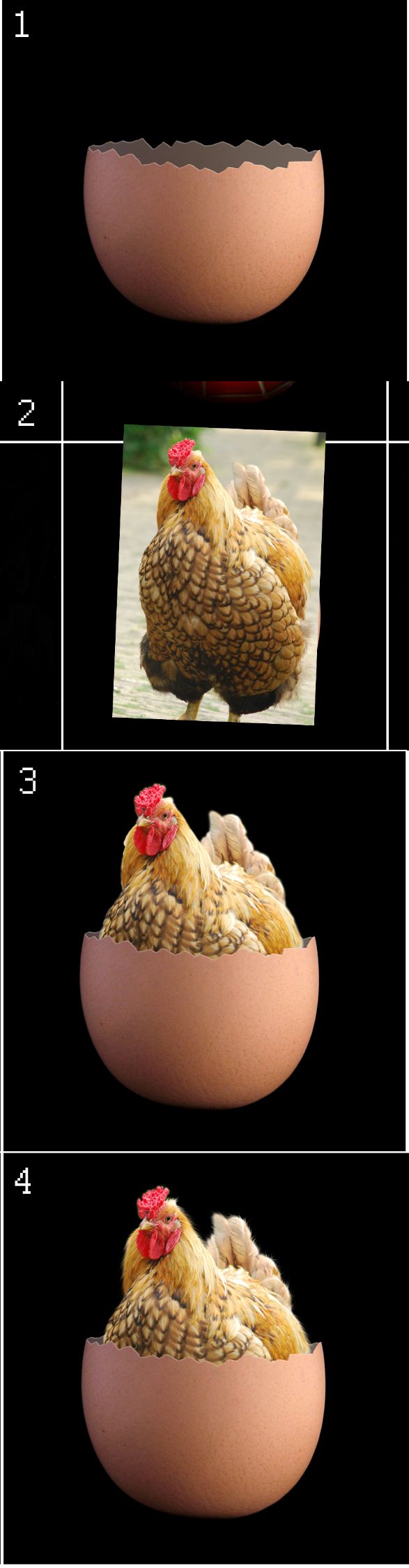 Creation of Eggs, eggs, eggs and more eggs: Step 15