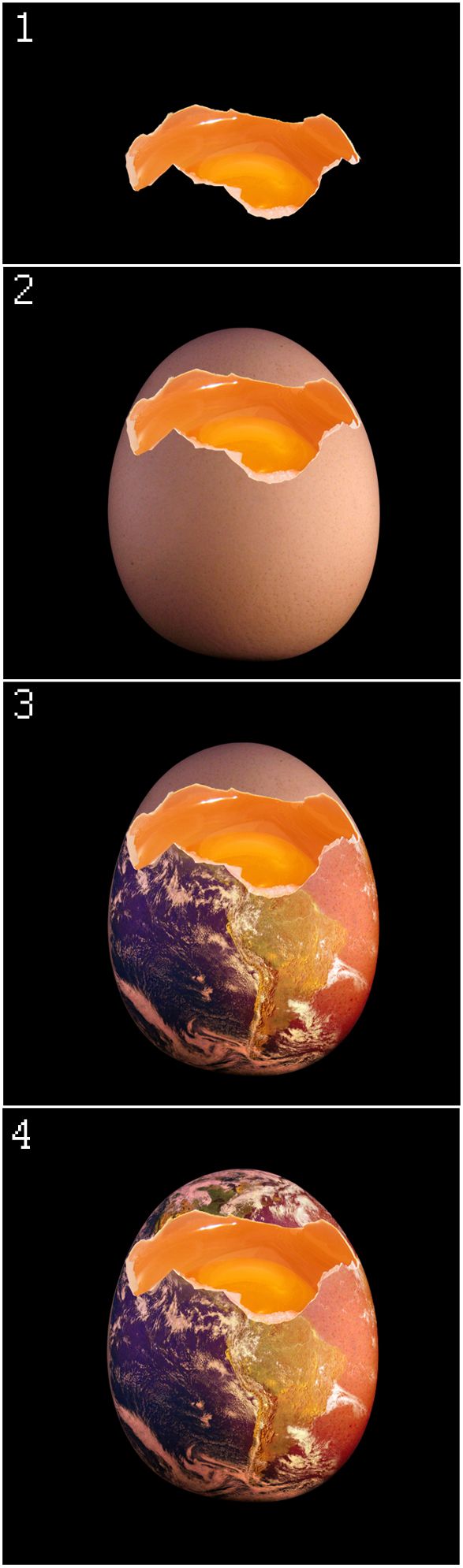 Creation of Eggs, eggs, eggs and more eggs: Step 21