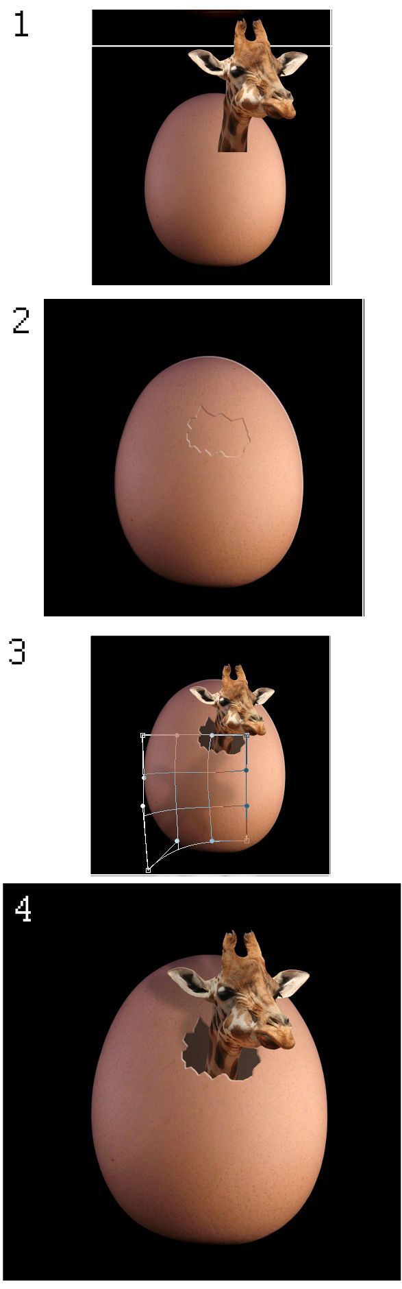 Creation of Eggs, eggs, eggs and more eggs: Step 23