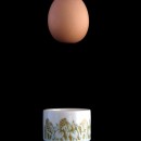 floating egg source image