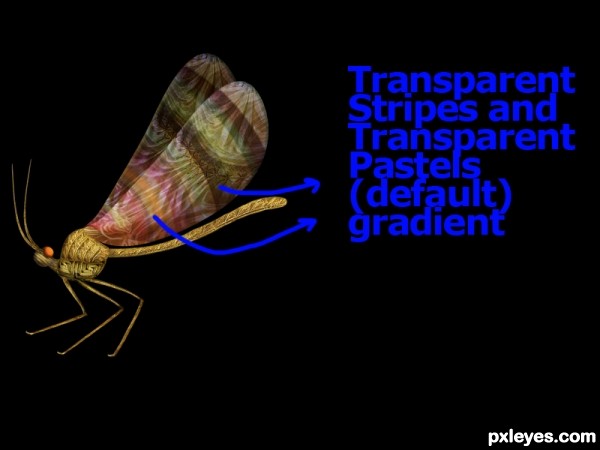 Creation of Dragonfly: Step 8