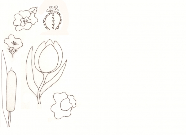 Creation of Flower Drawing Lessons: Step 16