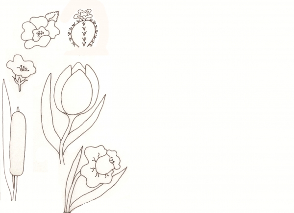 Creation of Flower Drawing Lessons: Step 18