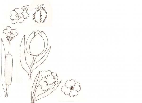 Creation of Flower Drawing Lessons: Step 20