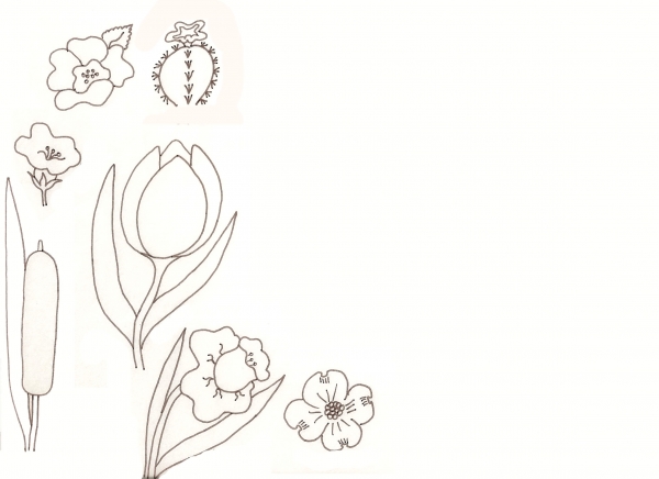 Creation of Flower Drawing Lessons: Step 21