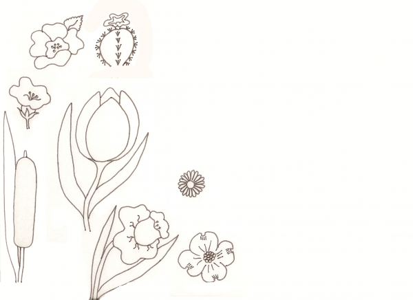 Creation of Flower Drawing Lessons: Step 22