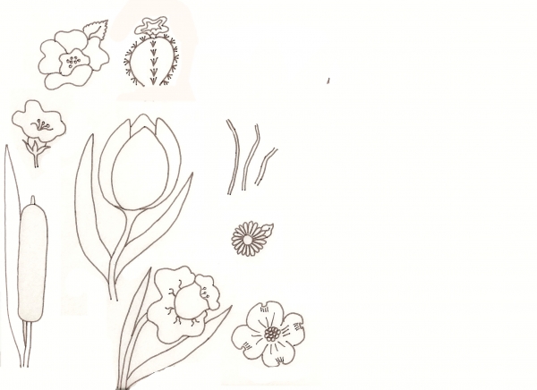 Creation of Flower Drawing Lessons: Step 24