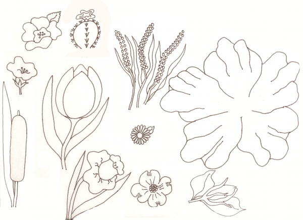 Learn To Draw Flowers With Shapes Lesson 1 - JSPCREATE