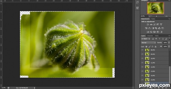 Creation of Flower bud: Step 3