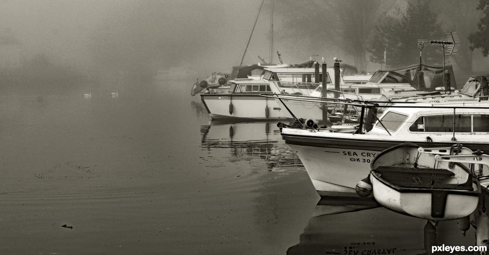 Fog on the River