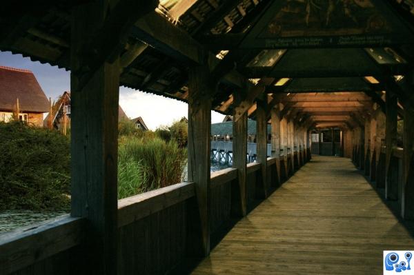 Tunnel Bridge