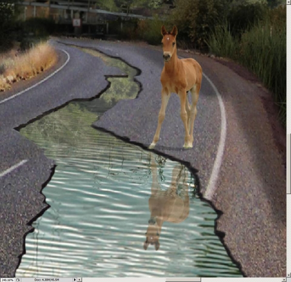 Creation of Foal at the water hole: Step 8