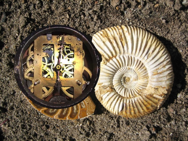 Creation of Fossil Timepiece: Step 2