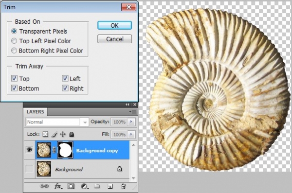 Creation of Almost fractal: Step 2