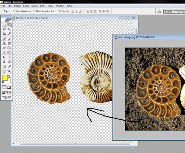 Creation of Fossilized Yin Yang: Step 1