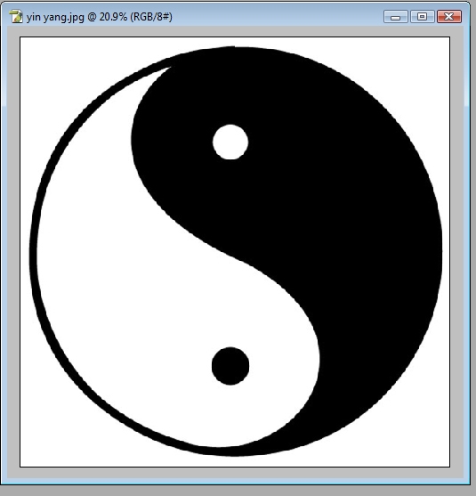 Creation of Fossilized Yin Yang: Step 2