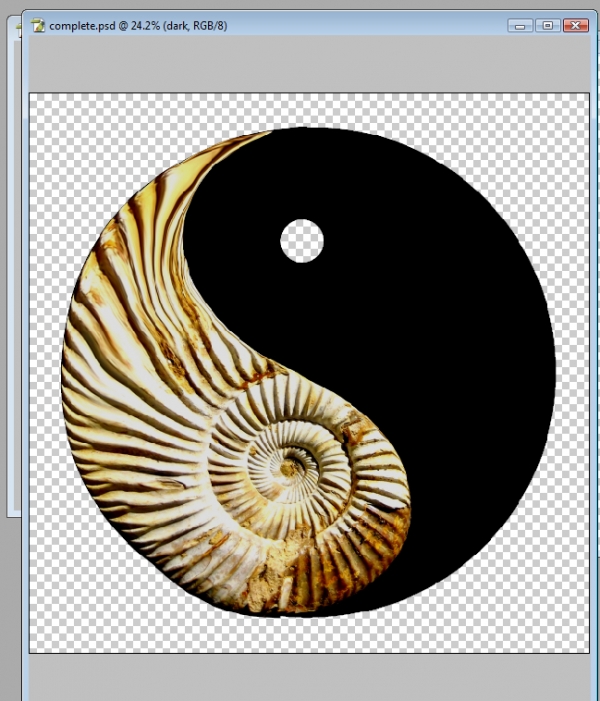 Creation of Fossilized Yin Yang: Step 3