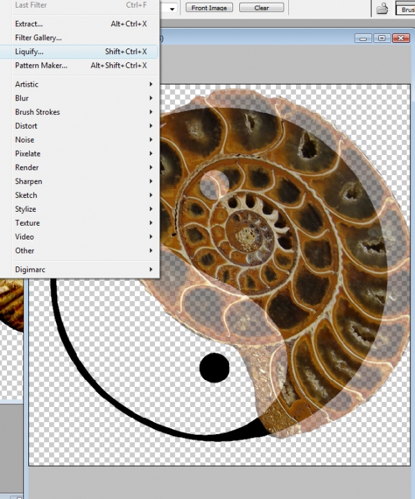 Creation of Fossilized Yin Yang: Step 4