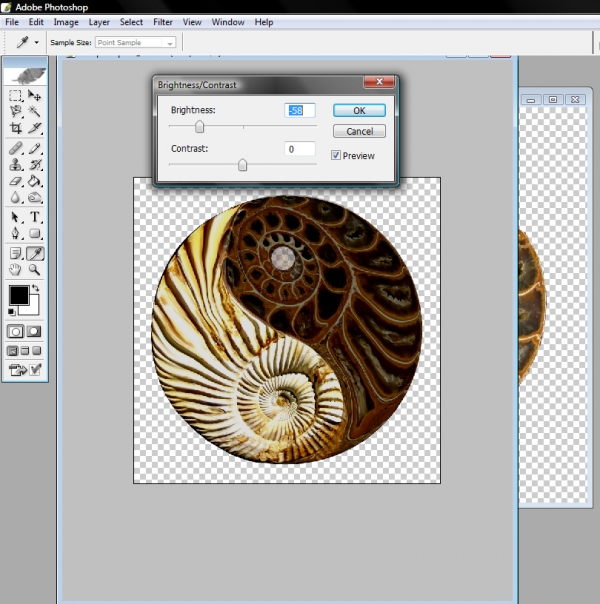 Creation of Fossilized Yin Yang: Step 5