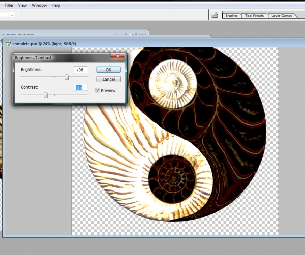 Creation of Fossilized Yin Yang: Step 7