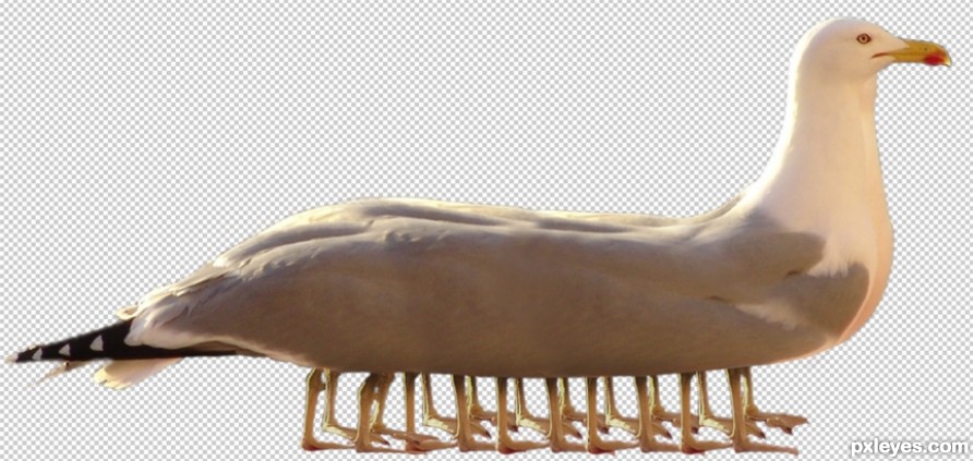 Creation of Gullipede: Step 6