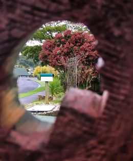 Through the fence