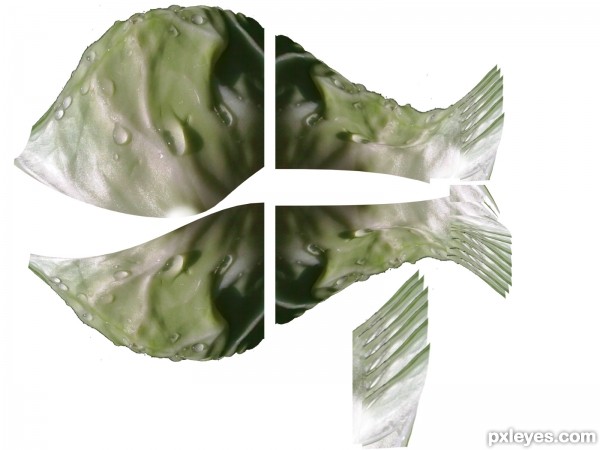 Creation of cabbage fish: Step 2