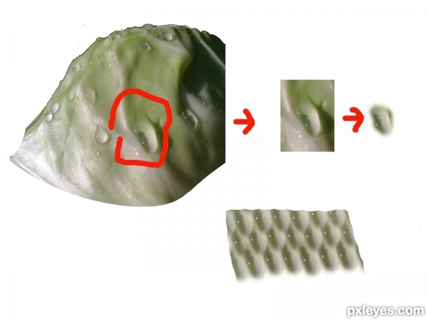 Creation of cabbage fish: Step 5