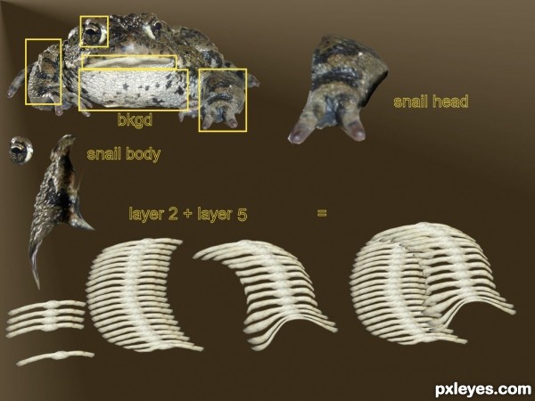 Creation of MR.Slime ball: Step 1