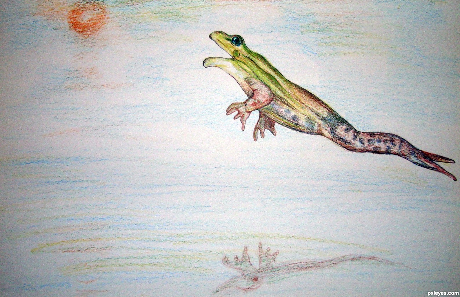 how to draw a jumping frog