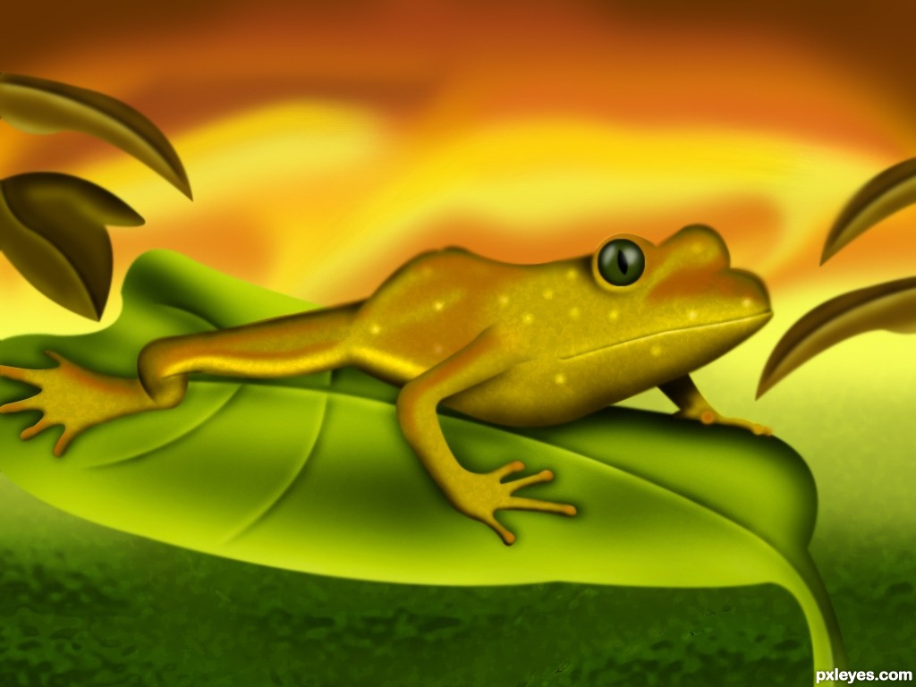 Cute frog picture, by chakra1985 for: frogs drawing contest - Pxleyes.com